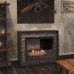 Биокамин Firelight BFP/P-3020 категории Биокамины