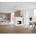 Топка-камин Brunner BKH  5.0 flat 50-162 ST категории Топки Brunner для камина